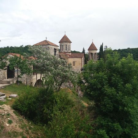 קוטאיסי Guest House Darejani מראה חיצוני תמונה