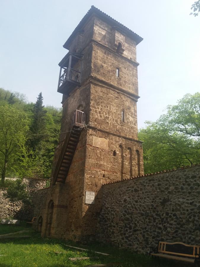 קוטאיסי Guest House Darejani מראה חיצוני תמונה