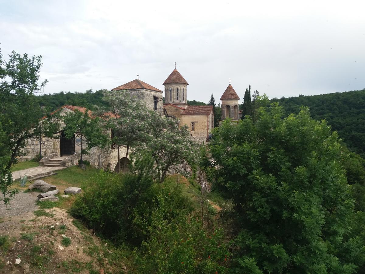 קוטאיסי Guest House Darejani מראה חיצוני תמונה